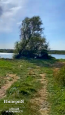 Продам земельну ділянку - с. Шамраївка (10561-909) | Dom2000.com #76634319