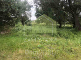 Продам земельну ділянку - с. Гнідин (10483-931) | Dom2000.com