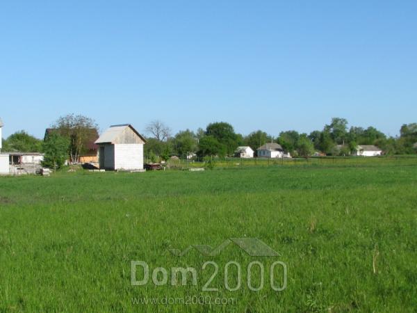 Продам земельну ділянку - с. Літочки (3454-943) | Dom2000.com
