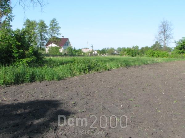 Продам земельный участок - с. Леточки (3454-947) | Dom2000.com