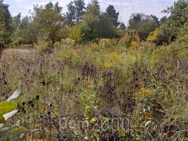 For sale:  land - Lipoviy Skitok village (10681-954) | Dom2000.com