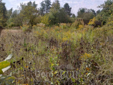 For sale:  land - Lipoviy Skitok village (10681-954) | Dom2000.com