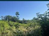 For sale:  land - Pidgirtsi village (10726-964) | Dom2000.com