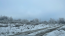 For sale:  land - Knyazhichi village (10704-968) | Dom2000.com #78861425
