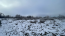 For sale:  land - Knyazhichi village (10704-968) | Dom2000.com #78861426