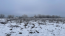 For sale:  land - Knyazhichi village (10704-968) | Dom2000.com #78861427