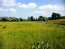 For sale:  land - Partizanske village (5567-968) | Dom2000.com #36384685