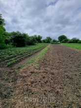 For sale:  land - Gatne village (10726-975) | Dom2000.com