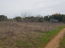For sale:  home - Chalkidiki (7673-002) | Dom2000.com #51335773