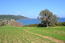 For sale:  land - Kassandra (4445-003) | Dom2000.com #30660304