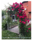 For sale:  home - Kirovograd city (9762-006) | Dom2000.com #67967678