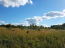 For sale:  land - д. Dementeevka (10527-011) | Dom2000.com #76268369
