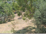 For sale:  home - Pieria (4445-014) | Dom2000.com #26903982