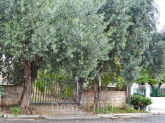 For sale:  land - Athens (4110-015) | Dom2000.com