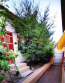 For sale:  3-room apartment - улица Гимназичная, Herson city (10007-016) | Dom2000.com #70522014