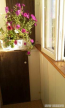 For sale:  2-room apartment - Набережно-Крещатицкая ул., 35, Podil (5974-018) | Dom2000.com #39316371