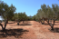 For sale:  home - Iraklion (crete) (4445-019) | Dom2000.com #26904055