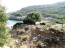 For sale:  land - Thasos (4116-021) | Dom2000.com #24507503