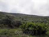 For sale:  land - Thasos (4118-022) | Dom2000.com