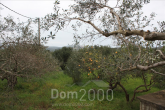 Продам будинок - Iraklion (crete) (7840-022) | Dom2000.com