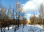 For sale:  land - 25-я линия, п. Gorki Leninskie (10584-023) | Dom2000.com #76879843