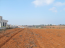 Продам земельный участок - Кассандра (Халкидики-Кассандра) (4120-023) | Dom2000.com #24548234