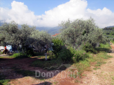 For sale:  land - Thasos (4118-025) | Dom2000.com