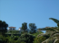 For sale:  home - Athos (7673-028) | Dom2000.com #51336110