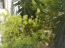 For sale:  2-room apartment - Евія (4111-031) | Dom2000.com #24453048