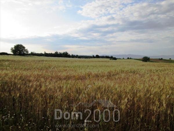 Продам земельну ділянку - Кассандра (4117-032) | Dom2000.com