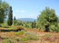 For sale:  land - Kerkyra (Corfu island) (4119-032) | Dom2000.com #24539637