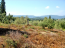 For sale:  land - Kerkyra (Corfu island) (4119-032) | Dom2000.com #24539640