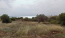 For sale:  land - Sithonia (4935-033) | Dom2000.com #31468500