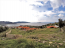 For sale:  home - Евія (4113-034) | Dom2000.com #24475610