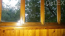 For sale:  2-room apartment - Новгородская ул., 5, Chokolivka (6397-034) | Dom2000.com #42678509