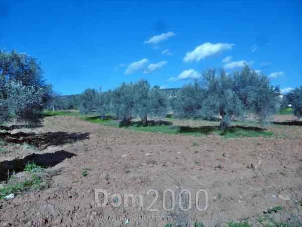 For sale:  land - Евія (4113-035) | Dom2000.com