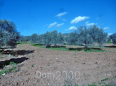 For sale:  land - Евія (4113-035) | Dom2000.com