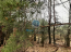 For sale:  land - д. Plaskinino (10545-037) | Dom2000.com #76460212