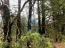For sale:  land - д. Plaskinino (10545-037) | Dom2000.com #76460213