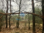 For sale:  land - д. Plaskinino (10545-037) | Dom2000.com #76460214