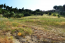 For sale:  land - Kassandra (4112-037) | Dom2000.com #24465160