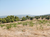 For sale:  land - Kassandra (4120-037) | Dom2000.com