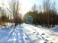 For sale:  land - 24-я линия, п. Gorki Leninskie (10584-039) | Dom2000.com #76879972
