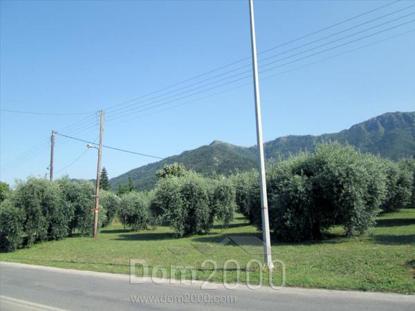 For sale:  land - Thasos (4117-039) | Dom2000.com