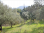 For sale:  land - Kerkyra (Corfu island) (4118-040) | Dom2000.com #24529319