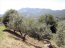 For sale:  land - Thasos (4117-042) | Dom2000.com #24518506