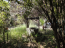 For sale:  home - Chalkidiki (4935-042) | Dom2000.com #31468615