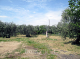 For sale:  land - Thasos (4118-046) | Dom2000.com