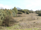 For sale:  land - Thessaloniki (4119-046) | Dom2000.com