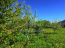 For sale:  land - 4 str., снт. Fortuna (9944-049) | Dom2000.com #69825806
